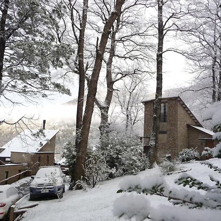 San Martín de los Andes Altos Del Alma Cabanas מראה חיצוני תמונה